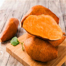 Load image into Gallery viewer, 500pcs multiple colour Sweet potatoes  Organic Non-GMO Vegetable for yard&amp;farm planting Ipomoea batatas Delicious ingredients