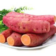 Load image into Gallery viewer, 500pcs multiple colour Sweet potatoes  Organic Non-GMO Vegetable for yard&amp;farm planting Ipomoea batatas Delicious ingredients