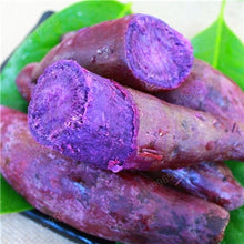 Load image into Gallery viewer, 500pcs multiple colour Sweet potatoes  Organic Non-GMO Vegetable for yard&amp;farm planting Ipomoea batatas Delicious ingredients